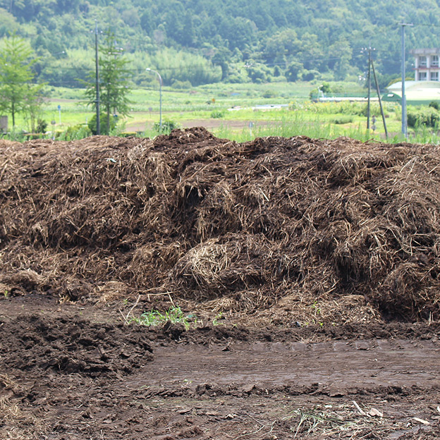 鳥取のおいしい野菜 TREE&NORF ほ場の堆肥を散布