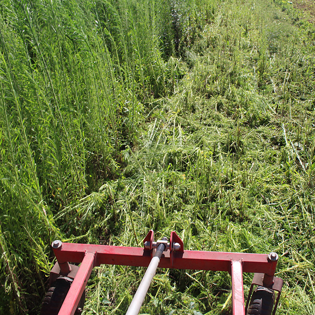鳥取のおいしい野菜 TREE&NORF 農業に使うマシンたち - ニプロフレールモア