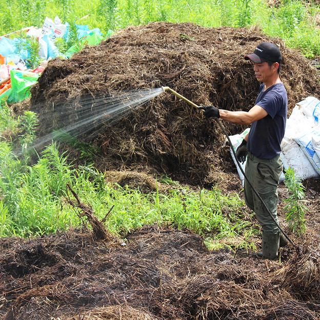 鳥取のおいしい野菜 TREE&NORF 太陽熱養生処理に使用する堆肥の仕込み