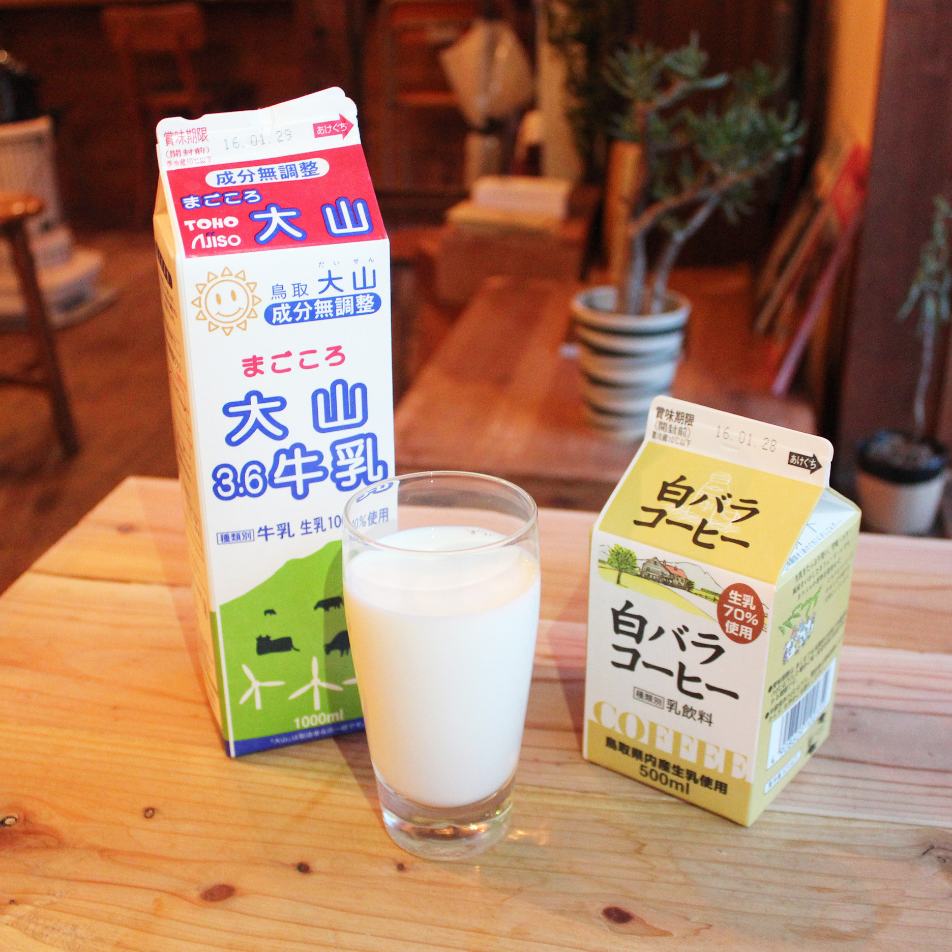 shirobara-milk